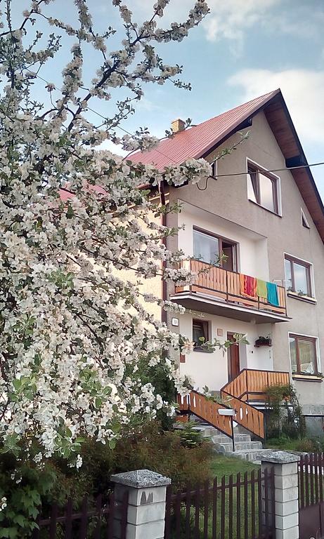 Apartament Domcek Na Orave Habówka Zewnętrze zdjęcie
